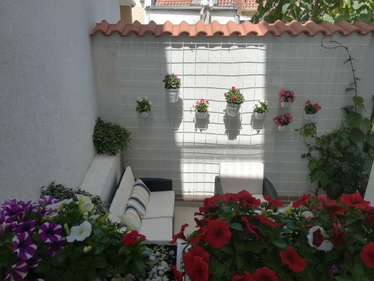 ביוגראד נה מורו Apartmani Eladora מראה חיצוני תמונה